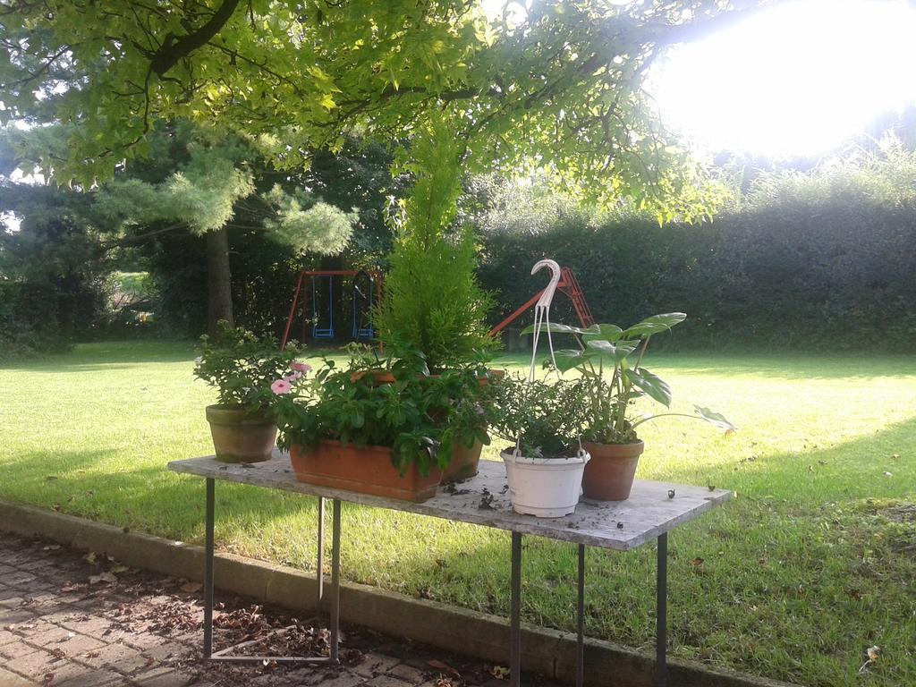 Bed And Breakfast Miotto Montegalda 外观 照片