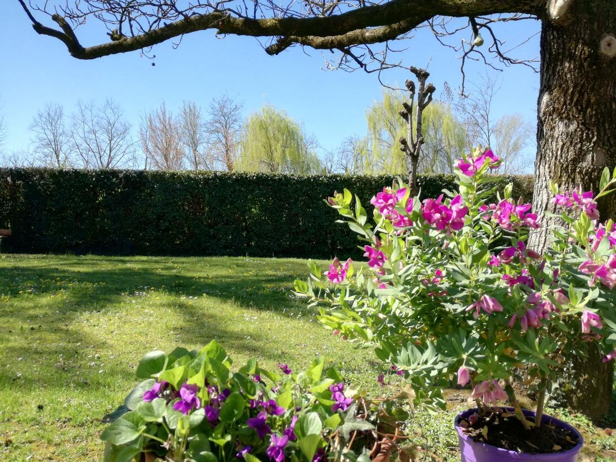 Bed And Breakfast Miotto Montegalda 外观 照片